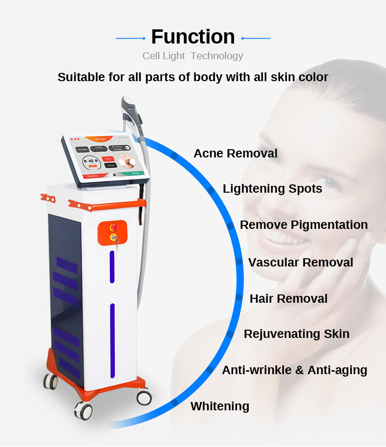 DPL machine