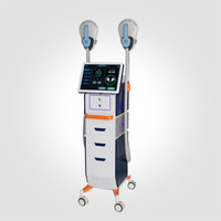 Professional Body Sculpting Machine For Sale