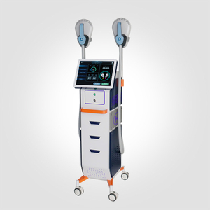 Professional Body Sculpting Machine For Sale