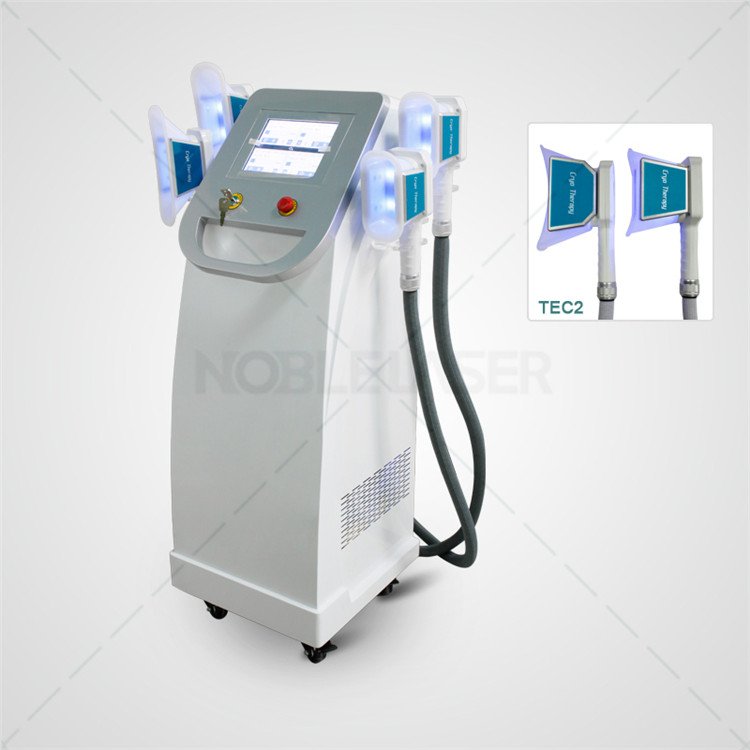Coolsculpting Body Slimming Fat Freezing Cryolipolysis Machine 4 Handles
