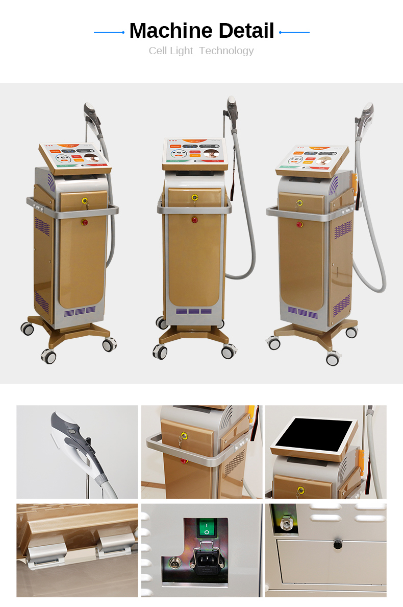 DPL machine