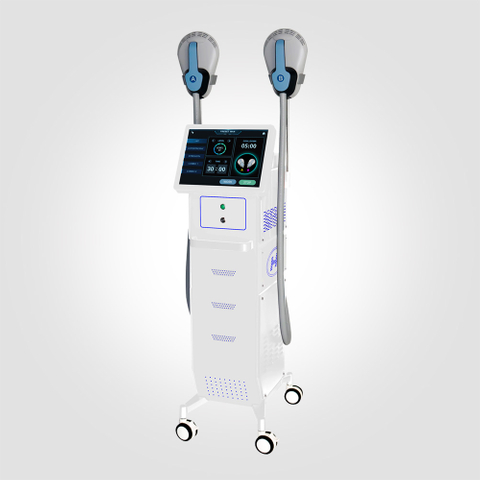 Professional Body Sculpting Machine For Sale